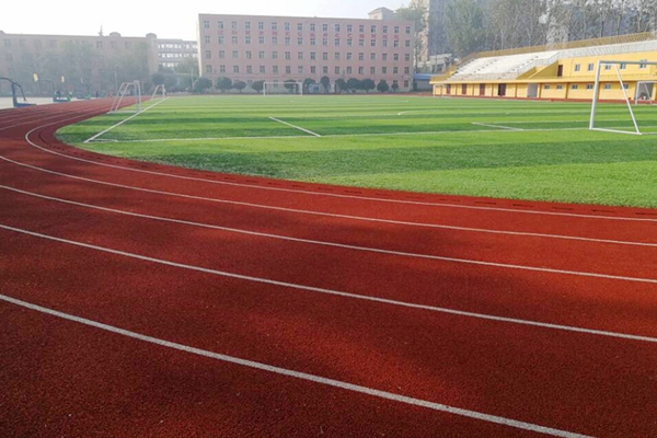 社旗县第二高级中学体育运动场改建项目